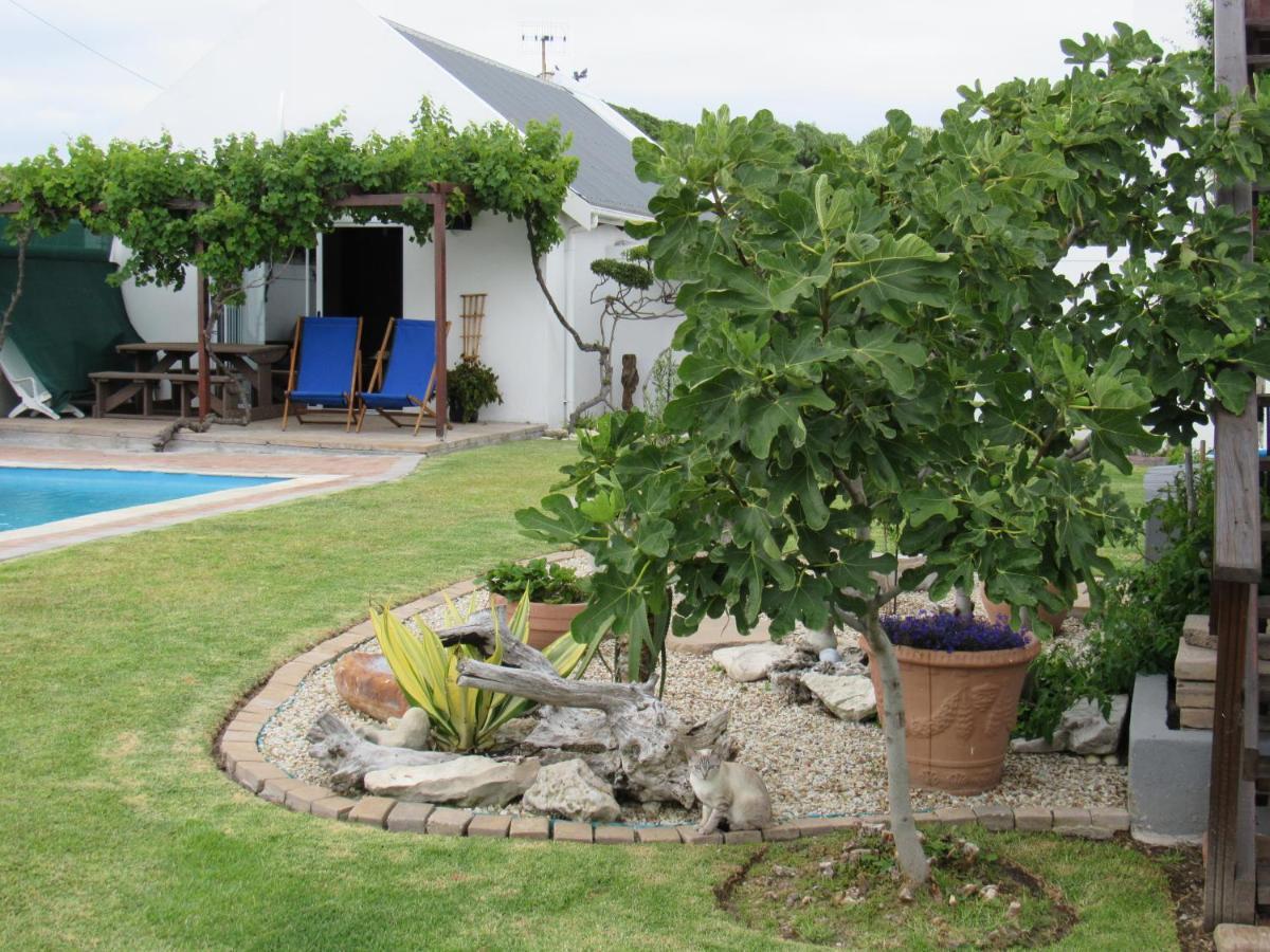 Omega Suite Gansbaai Exterior foto